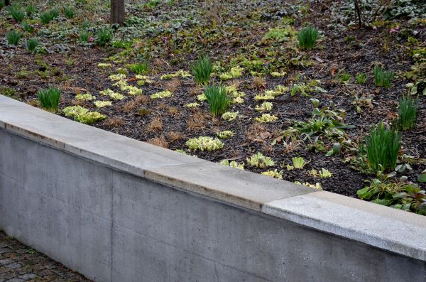 Concrete Wall Construction in Hayden