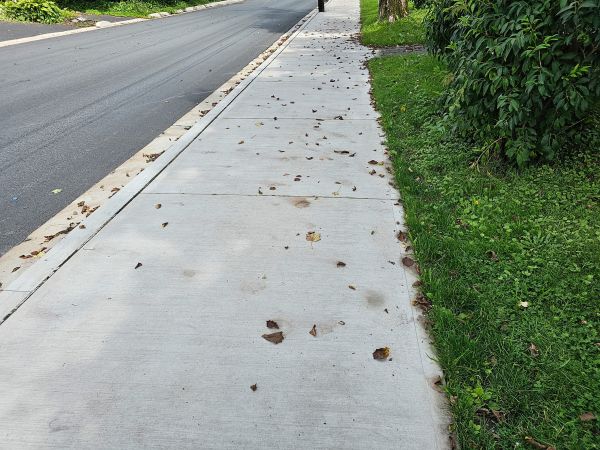 Sidewalk Renovation in Hayden