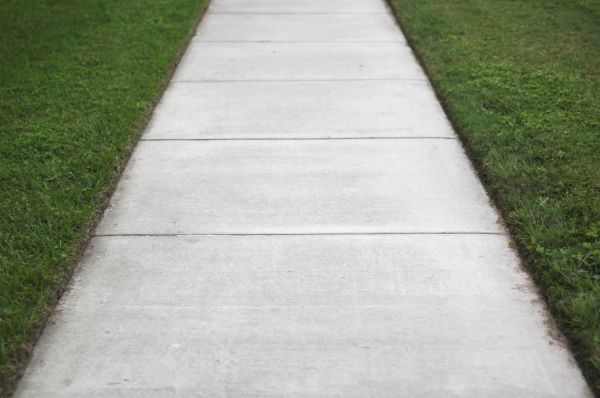 Pathway Creation in Hayden