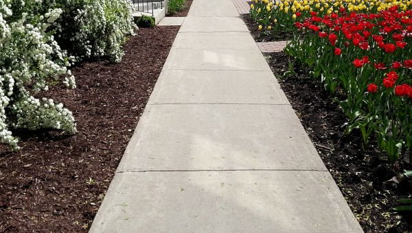 Cement Sidewalk Installation in Hayden