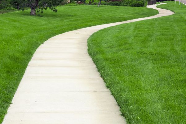 Pathway Replacement in Hayden