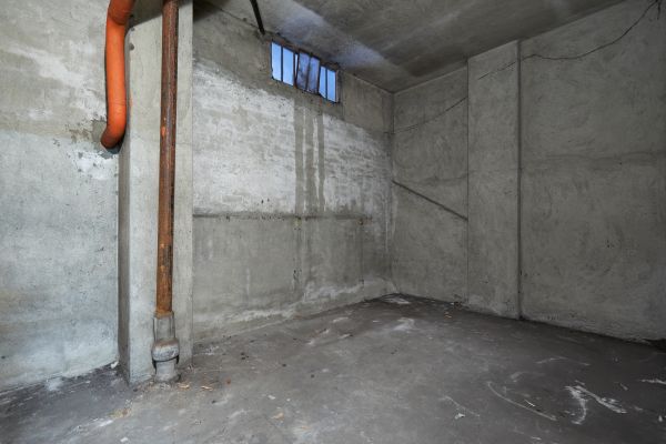 Basement Wall Construction in Hayden