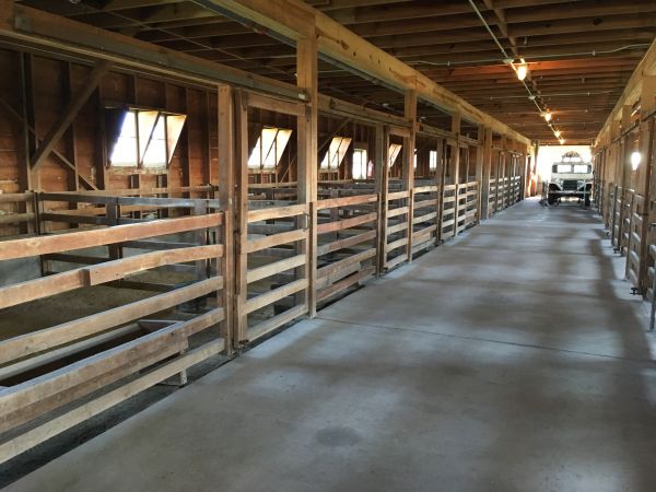 Barn Floor Pouring in Hayden