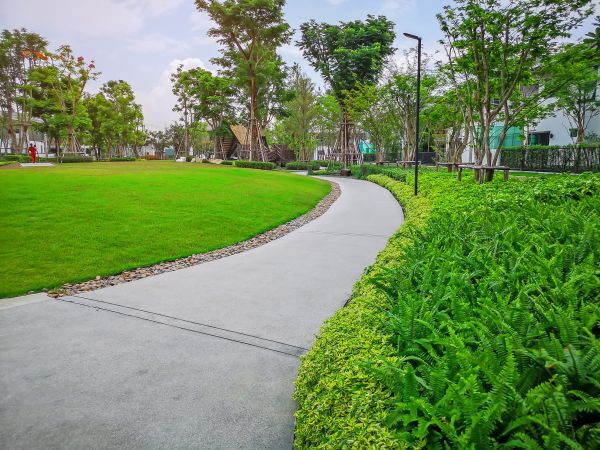 Cement Walkway Service in Hayden