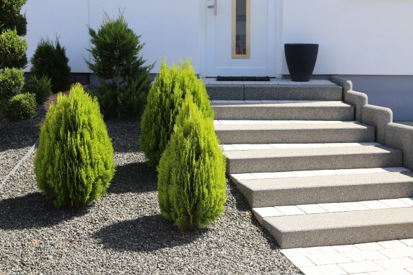 Exterior Steps Construction in Hayden