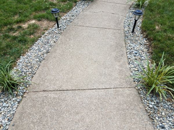 Cement Path Construction in Hayden
