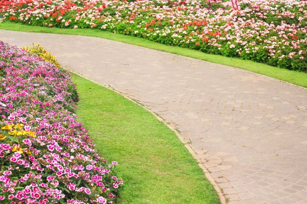 Concrete Walkway Service in Hayden